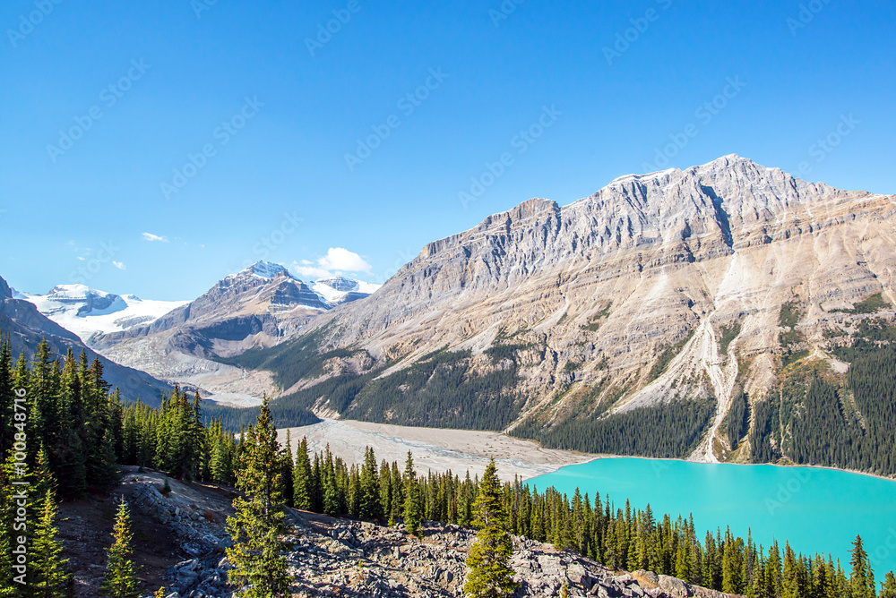 turquoise waters of peyto lake in the middle of the forests and peaks of the rocky mountains of alberta canada