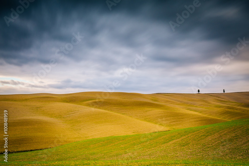 Typical landscape in Val D Orcia  Tuscany  Italy 