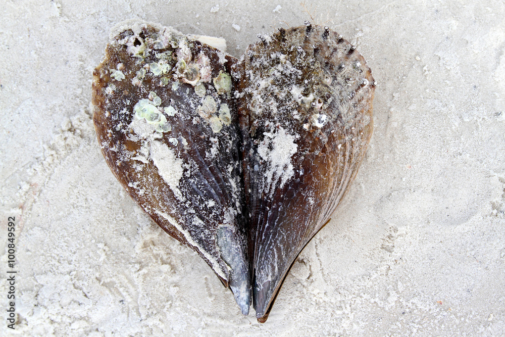 Valentine heart made of sea shells on sandy beach Valentine heart made of sea shells on sandy beach