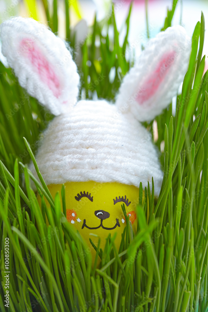 Fototapeta premium Cute egg in bunny hat on green grass