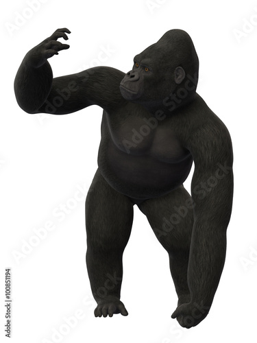 Gorilla standing  ape isolated on white background