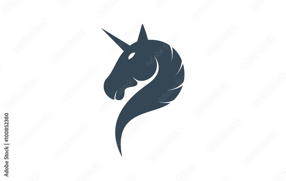 Obraz premium unicorn horse