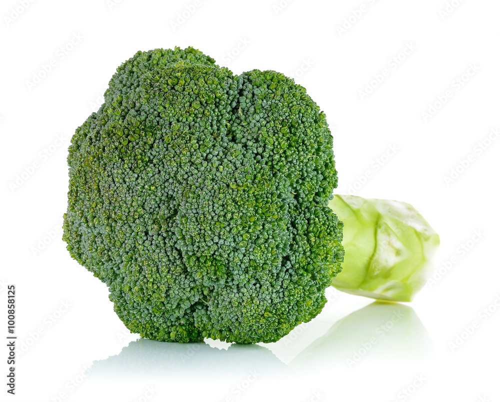 Fresh broccoli isolated on the white background Fresh broccoli isolated on the white background
