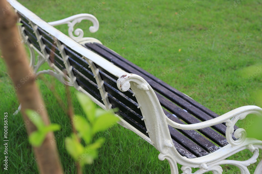 wooden bench in a field of grass in the park