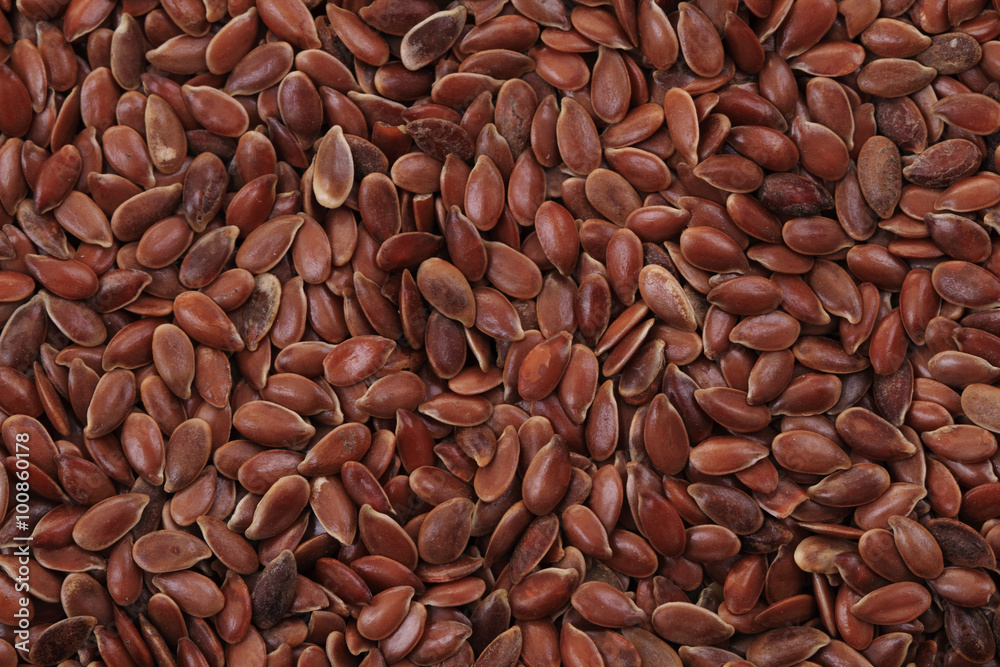 flax seed texture flax seed texture