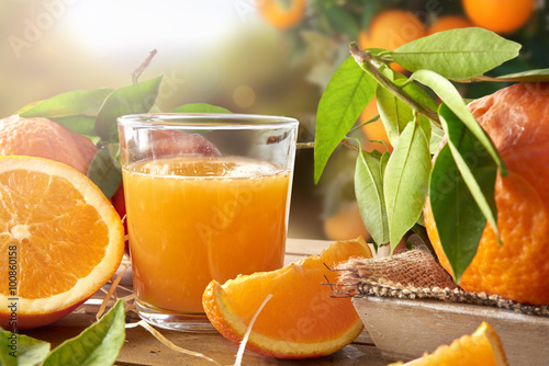 Glass of orange juice on a wooden in field closeup