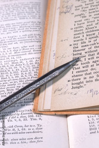 Close up of two old books with vintage shorthand writing as marginal notes and a beautifully engraved old silver clutch pencil. photo