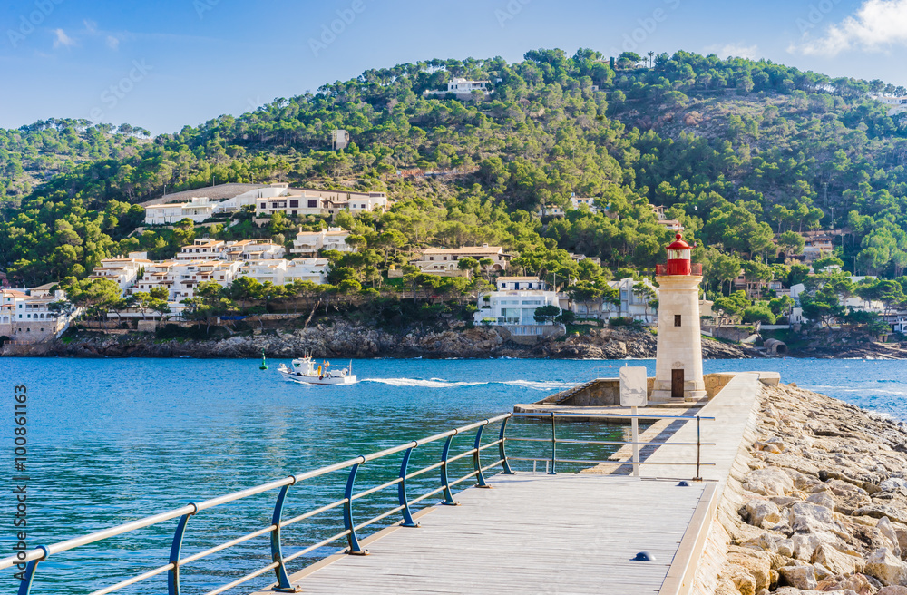 Naklejka premium Leuchtturm Mole