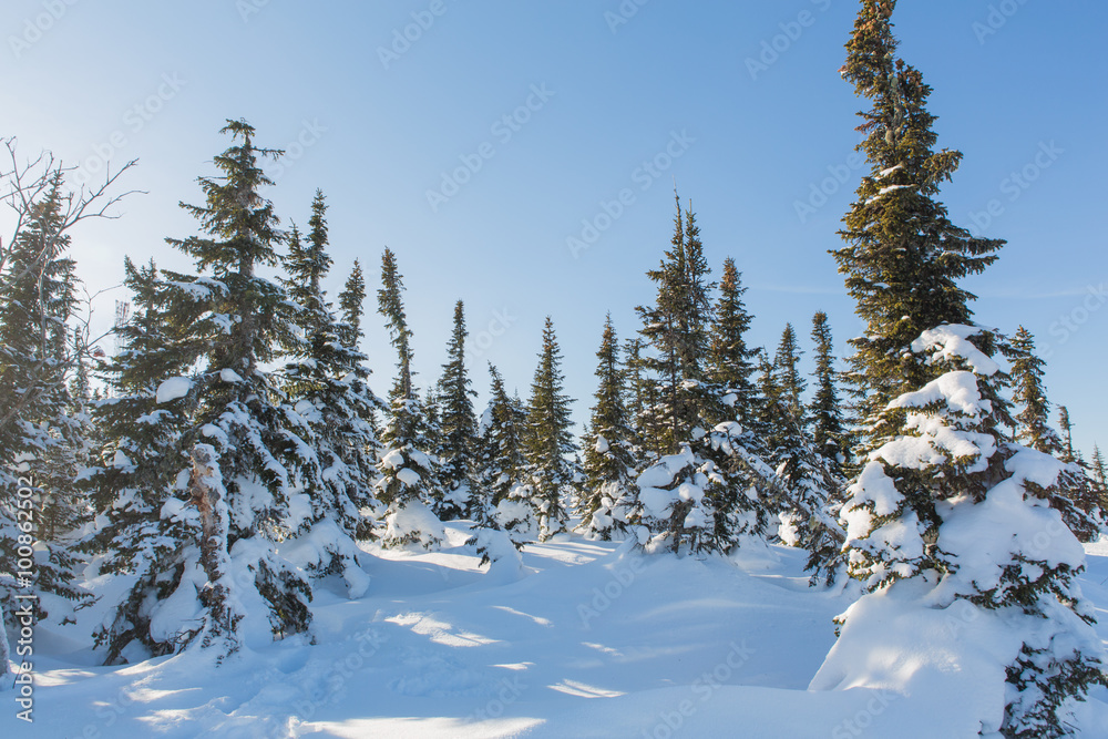 Beautiful winter landscape. Beautiful winter landscape.