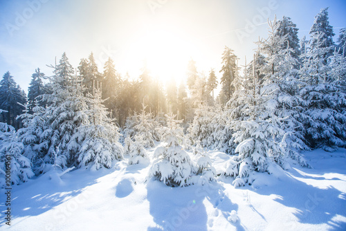 Winterlandschaft auf dem Feldberg © mh90photo