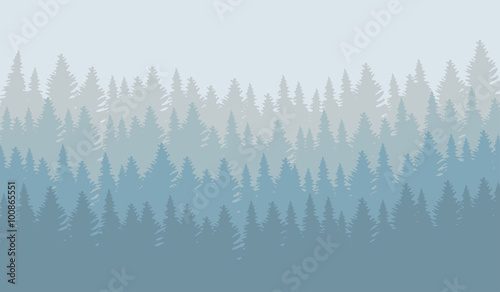 Vector illustration of wild coniferous forest