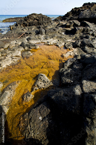 in lanzarote coastline froth spain pond rock stone