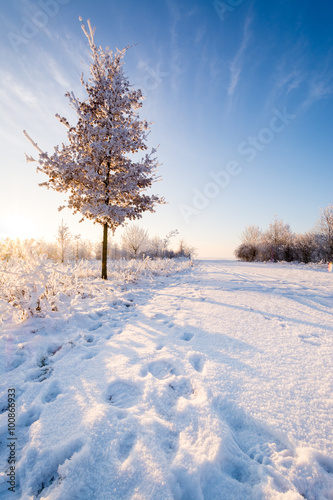 Winter in Thüringen © mp1982_06