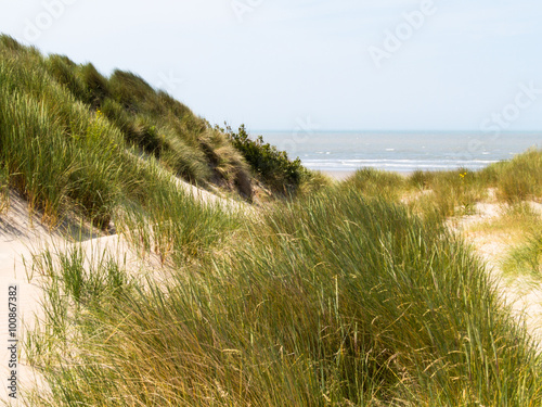 Coastline and sandy dunes of the North Sea, Belgium