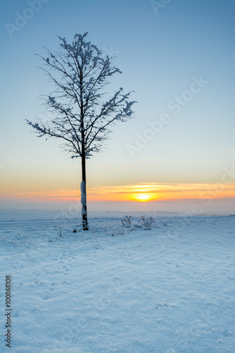 Winter in Thüringen