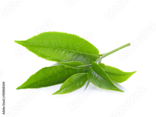 green tea leaf isolated on white background