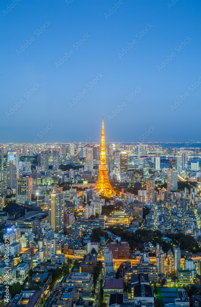 Fototapeta premium Tokyo city view and Tokyo Tower at twilight