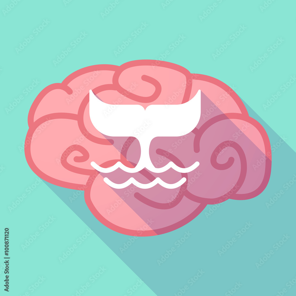 Long shadow brain with a whale tail Long shadow brain with a whale tail