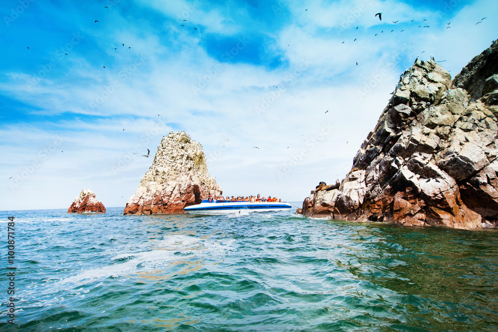 Fototapeta premium Birds in Ballestas Island (Paracas/Pisco, Peru)