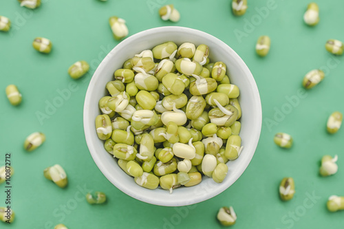 mung bean sprouts photo