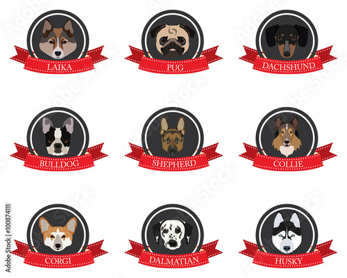 flat icons of pedigree dogs with the names