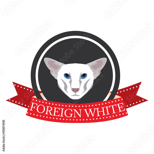 flat icon pedigreed cat foreign white
