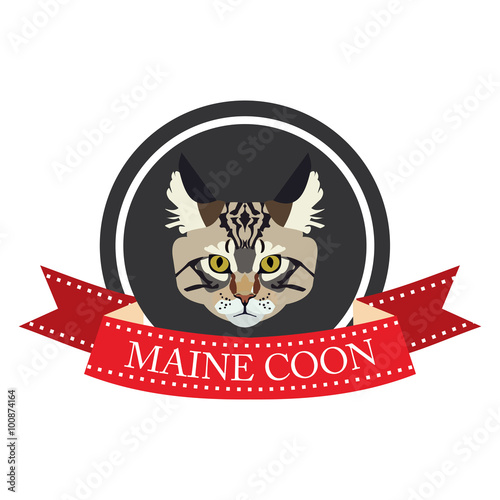 flat icon pedigreed cat maine coon