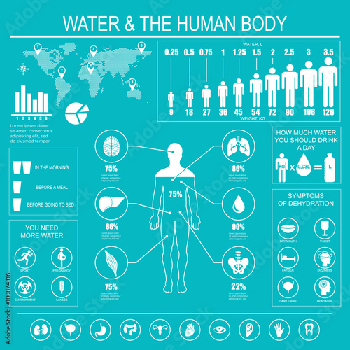 Water and human body infographic