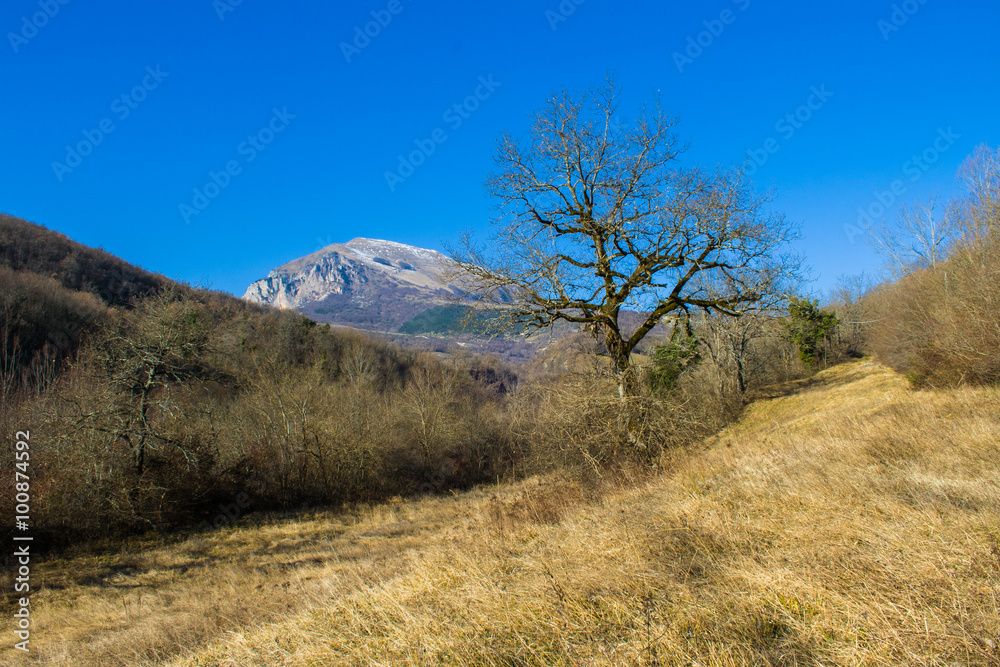 Mountain landscape in winter Mountain landscape in winter