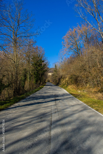 Mountain path with rocks and trees in the roadside