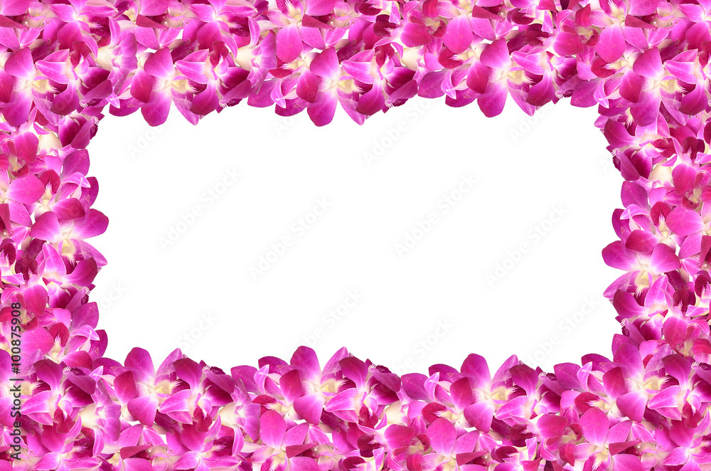 frame of violet orchid flowers isolated on white background
