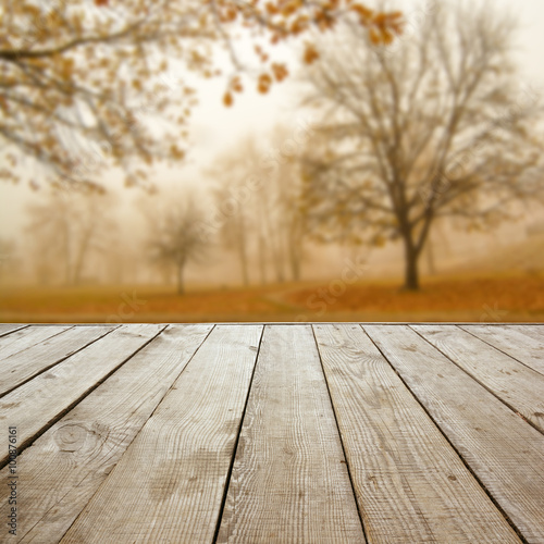 Wooden perspective floor with planks on blurred natural autumn b