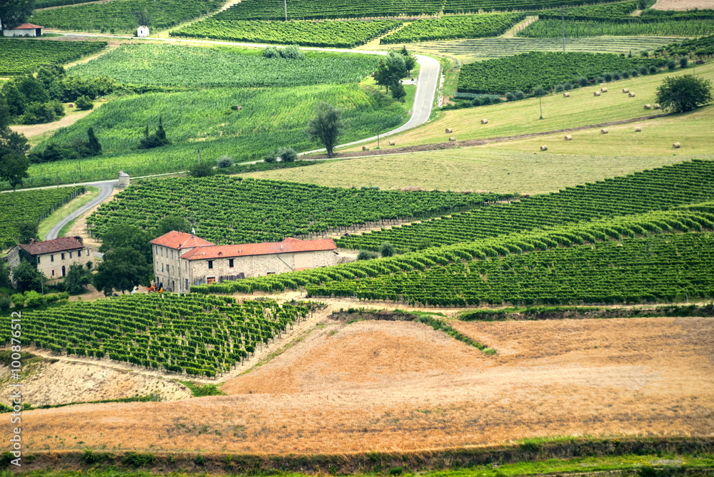 Langhe, landscape in Piedmont (Italy)