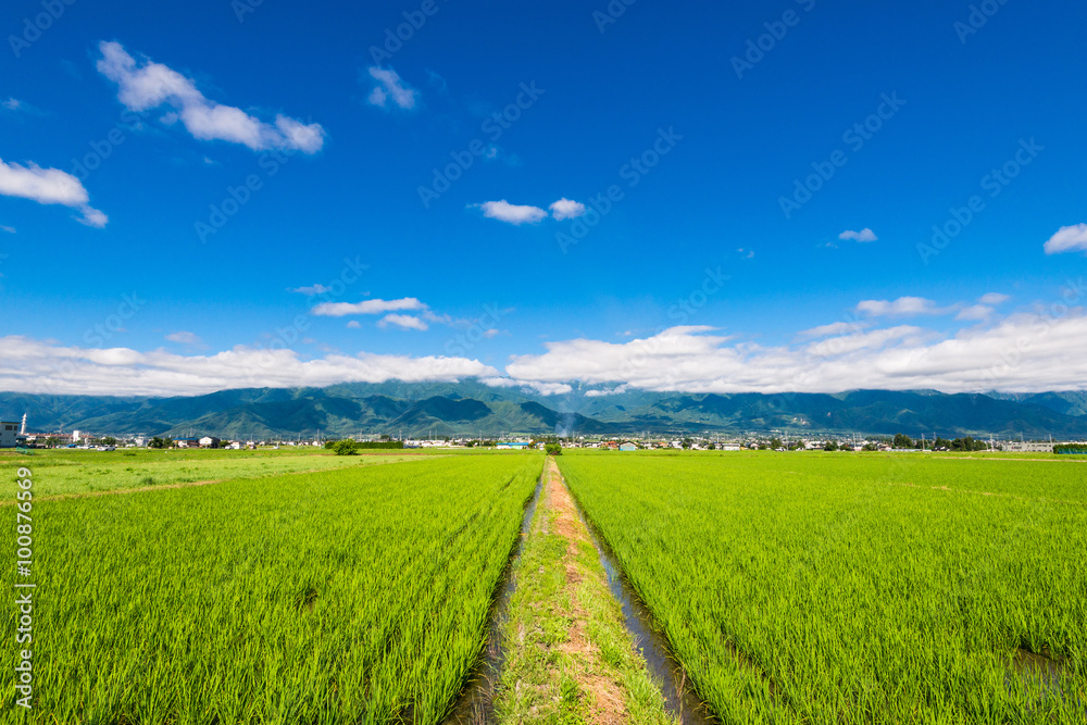 信州　安曇野の田園風景