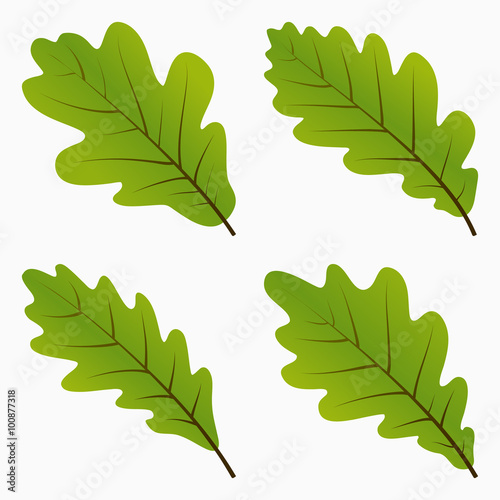 Green Oak Leaves