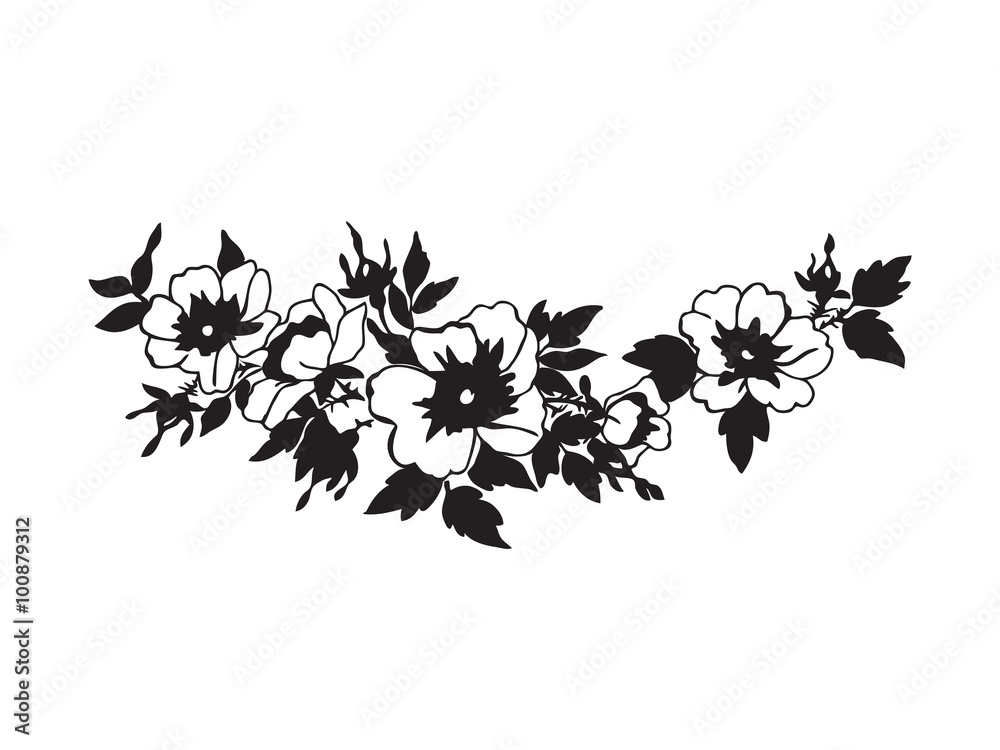 Beautiful blossoming wild rose branch with white flowers vector Beautiful blossoming wild rose branch with white flowers vector