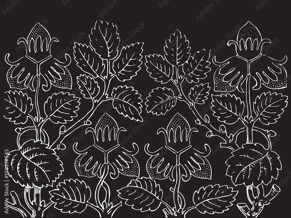 Beautiful blossoming wild rose branch with white flowers vector Beautiful blossoming wild rose branch with white flowers vector