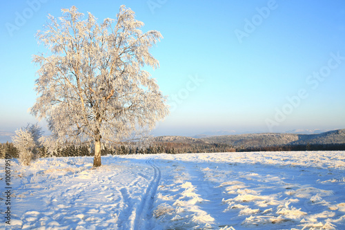 Empty cross-country ski track and winter meadow in Table Mountains in Poland Sudetes by sunrise