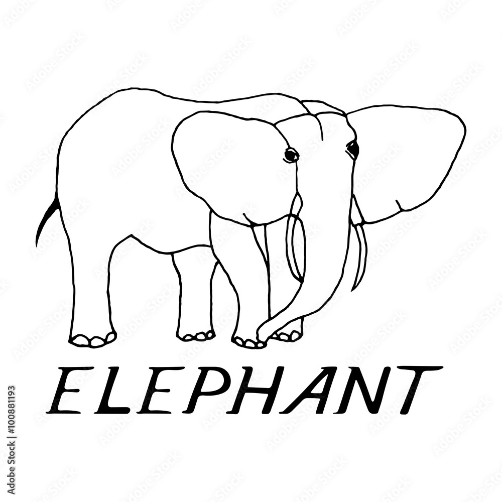 hand draw a sketch in the style of an elephant 