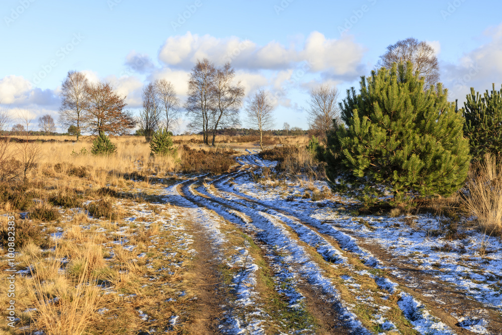 De heide en zandverstuiving van het Rozendaalse veld bij Annhem De heide en zandverstuiving van het Rozendaalse veld bij Annhem