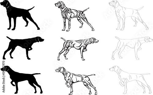 Dog, bird dog, dog hunting, shooting, fowling, breed, silhouette, vector, symbol, Kurzhaar