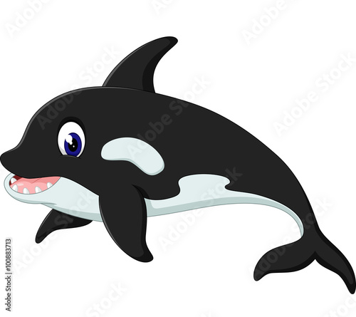 illustration of cute whale cartoon