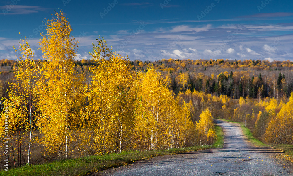 Naklejka premium Autumn road under the blue sky