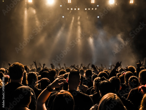 cheering crowd at a rock concert