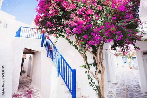 Obraz Tradycyjny grka dom z kwiatami w Paros wyspie, Grecja