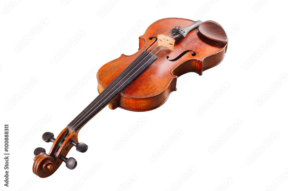 Fototapeta premium violin