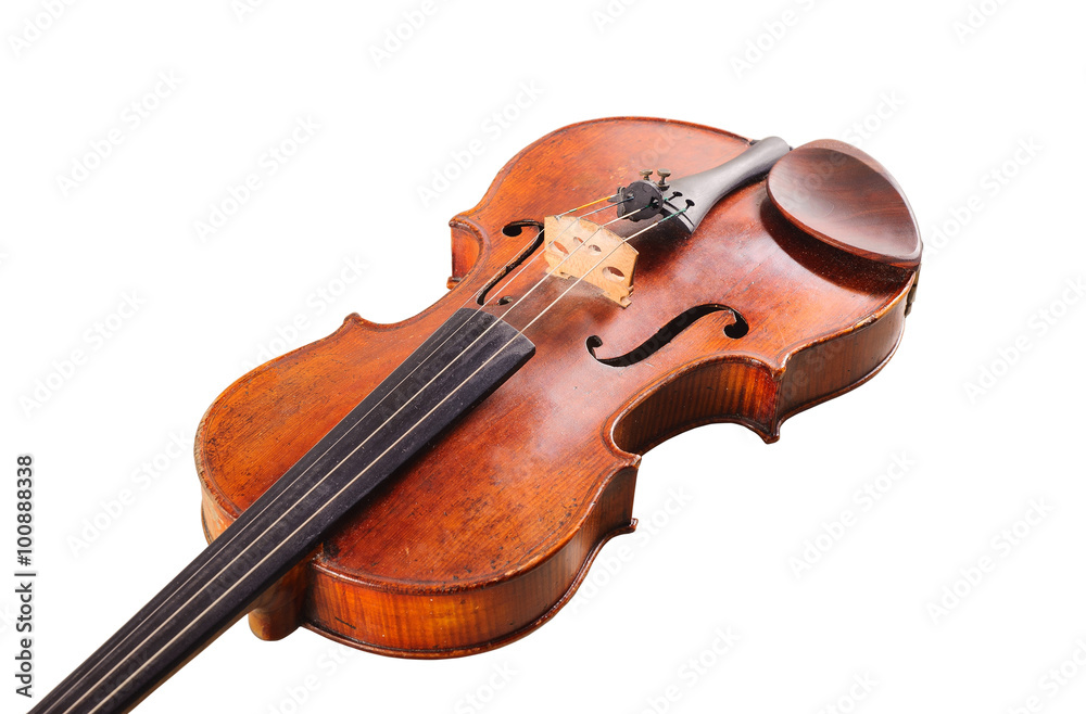 Fototapeta premium violin