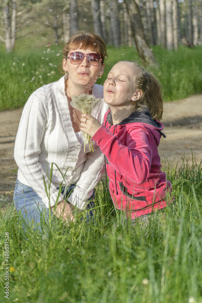 Fototapeta premium girl dandelion