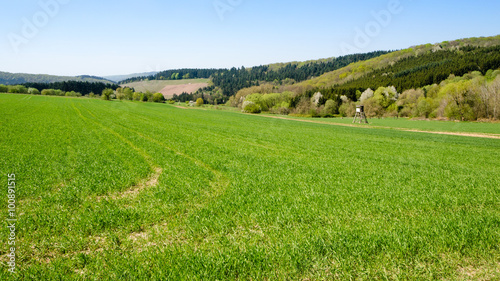 Landschaft Eifel 1