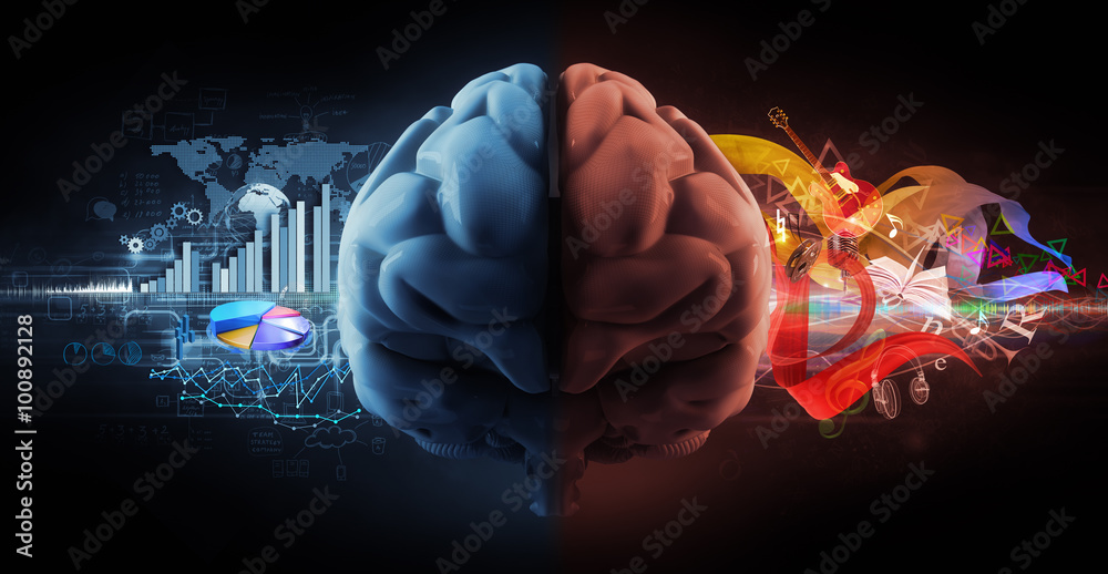 left and right brain functions Stock Photo | Adobe Stock